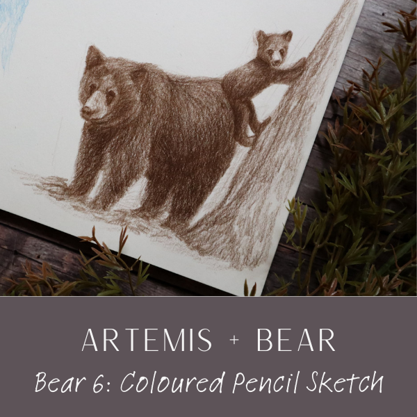 WH Artemis Bear 6.png