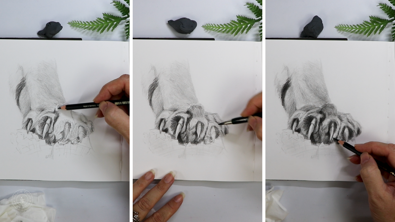 Tiger Paw Process 2.png