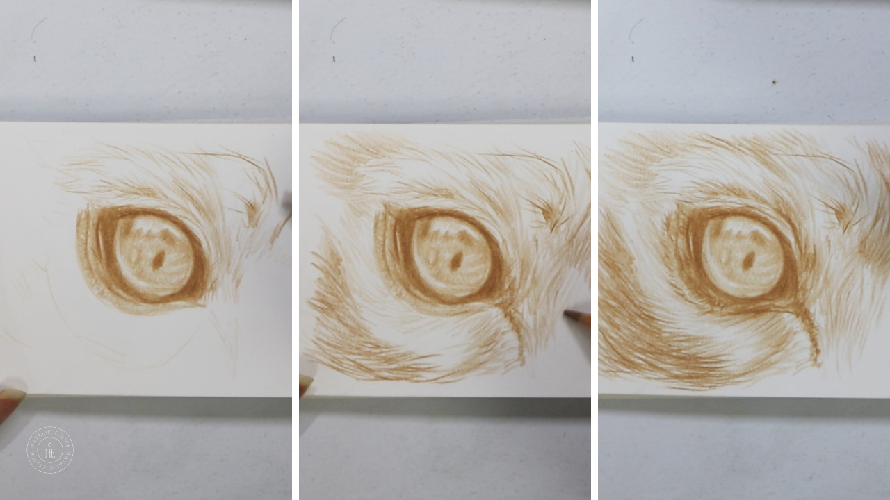 Det Panda Eye Process 2.png