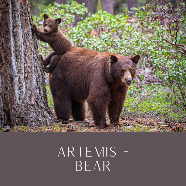 Wild+Woman Aug25.png