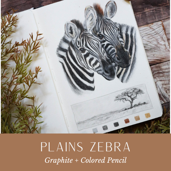 WP Plains Zebra 2.png
