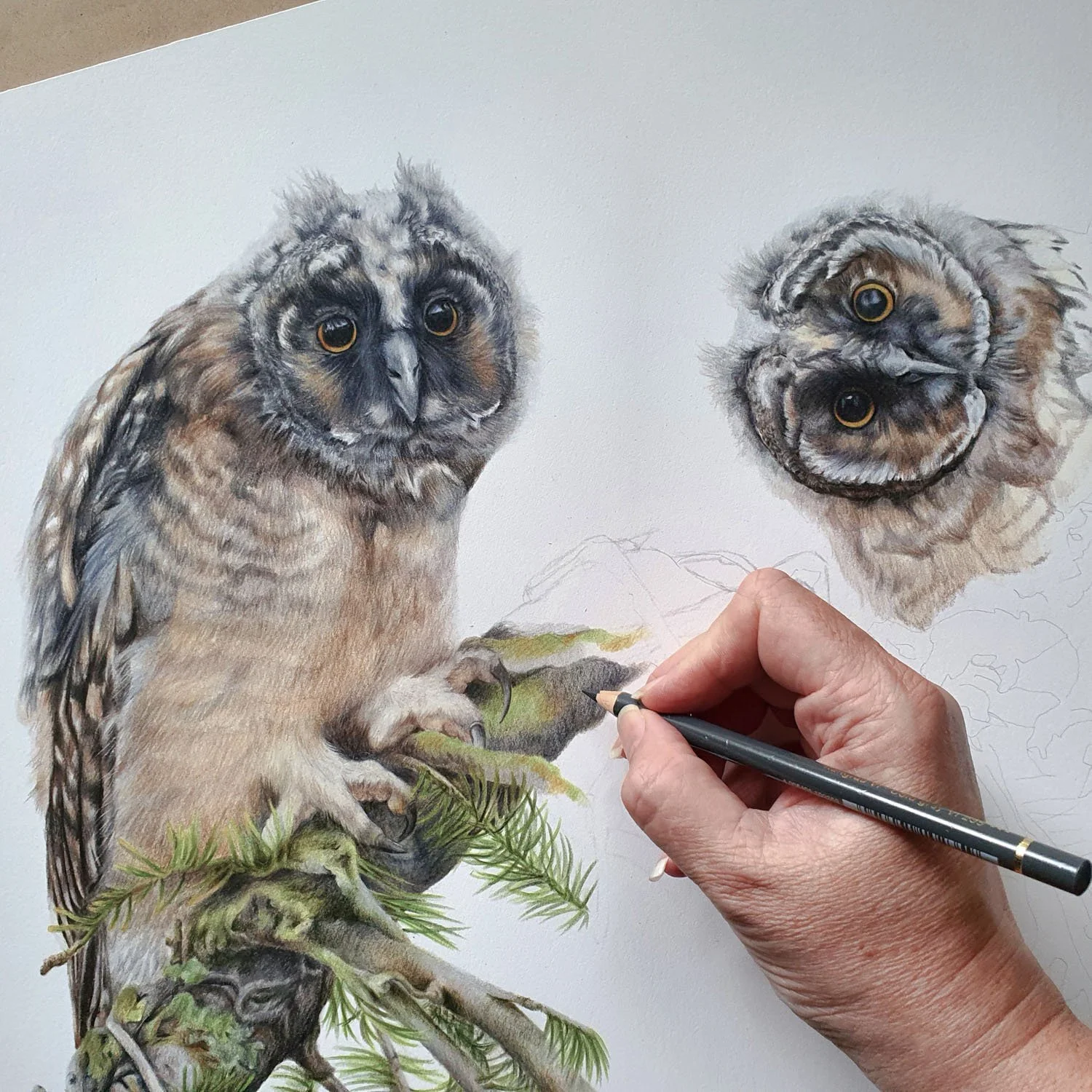 Australian Fine Artist Natalie Eslick Long Eared Owlers WIPsq.jpg