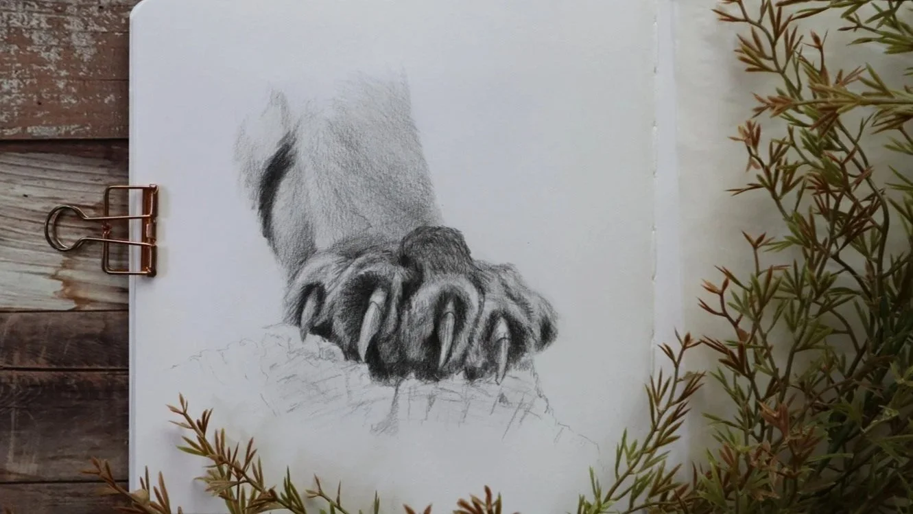 Australian+Artist+Natalie+Eslick+tiger+paw-1710.jpg