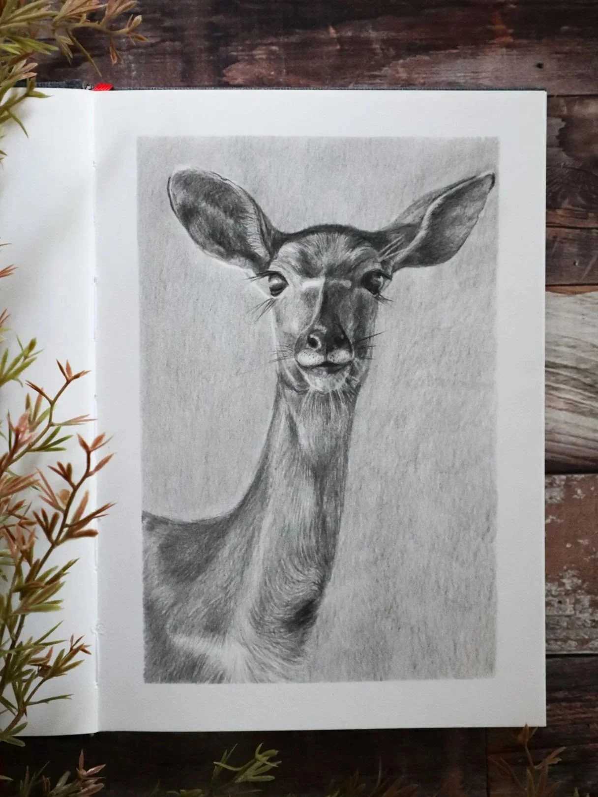 Australian+Artist+Natalie+Eslick+Female+Nyala+Graphite+Sketch-5326.jpg