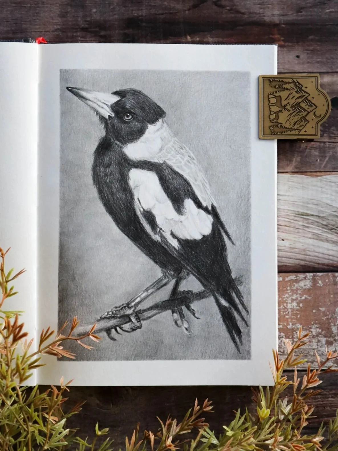 Australian+Artist+Natalie+Eslick+Australian+Magpie+Graphite+Sketch-5378.jpg