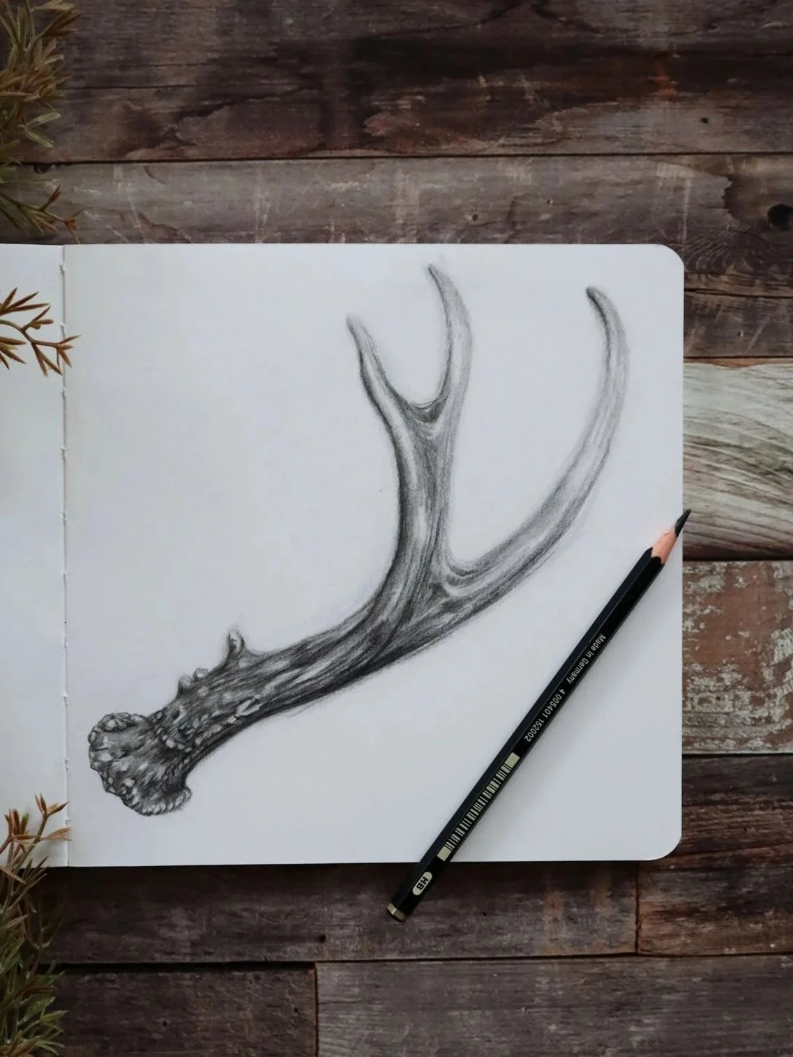 Australian+Artist+Natalie+Eslick+tws+antlergraphite-0137.jpg