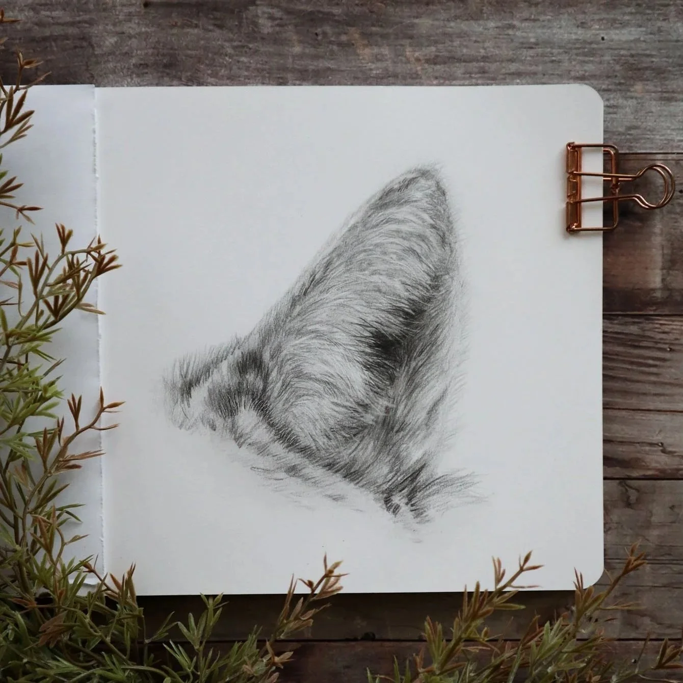 Australian+Artist+Natalie+Eslick+coyote+ear+graphite-0344.jpg