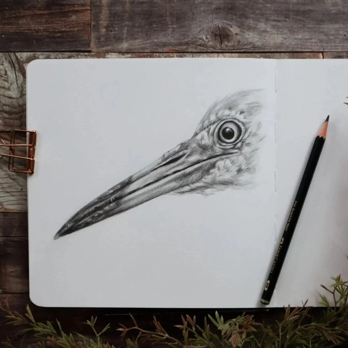 Australian%2BArtist%2BNatalie%2BEslick%2BHeron%2Bbeak%2BGraphite-0159.jpg