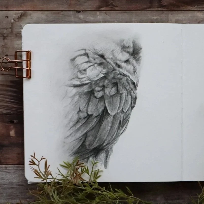 Australian+Artist+Natalie+Eslick+feathers+sketch-0388.jpg