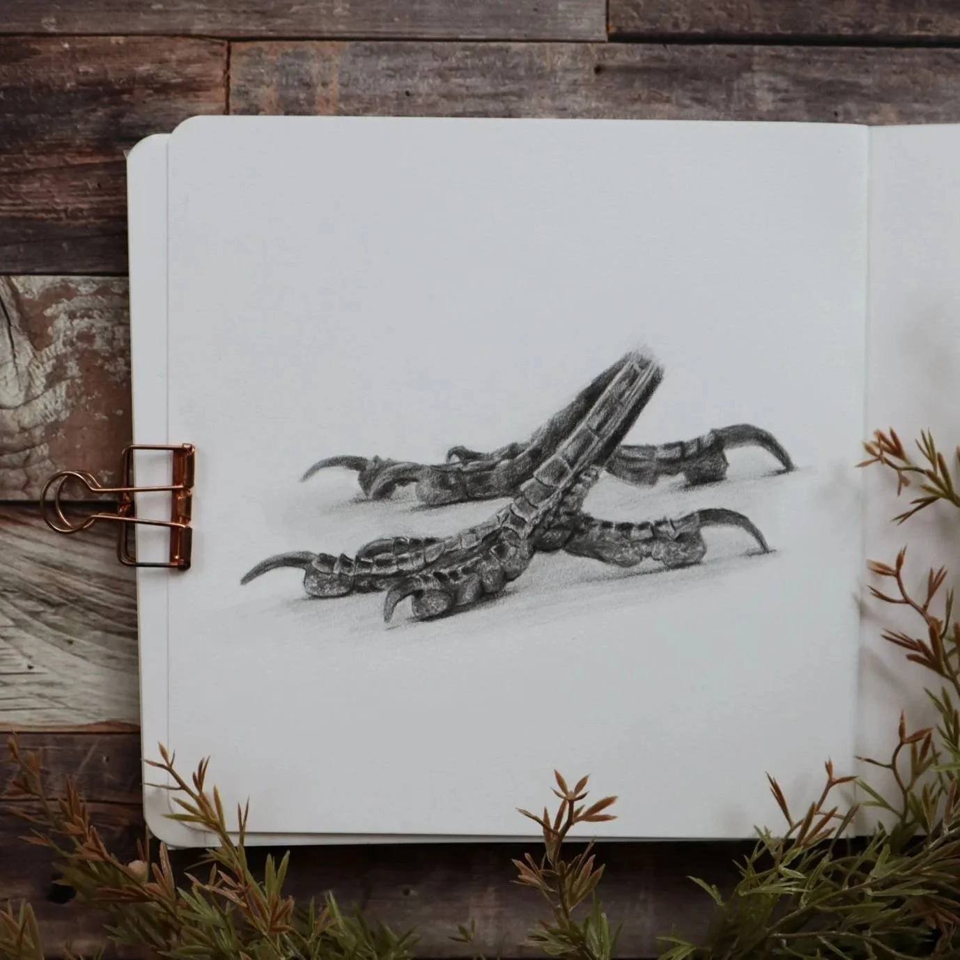 Australian+Artist+Natalie+Eslick+raven+paws+sketchbook-0609.jpg
