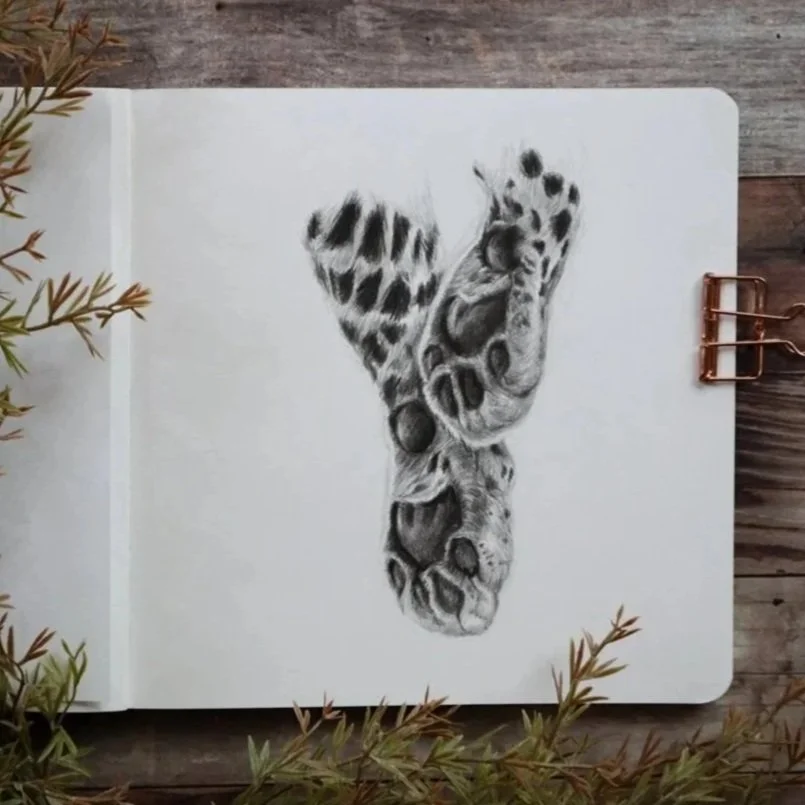 Australian%2BArtist%2BNatalie%2BEslick%2Bleopard%2Bpaws%2Bsketchbook-0615.jpg
