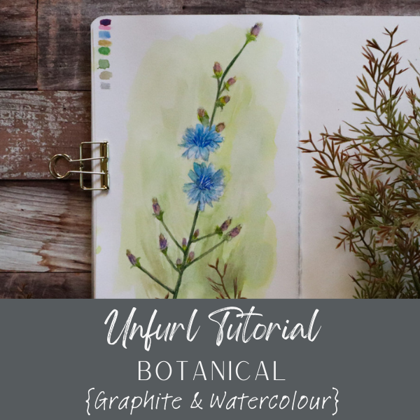 HR Blue Wildflower 0924.png