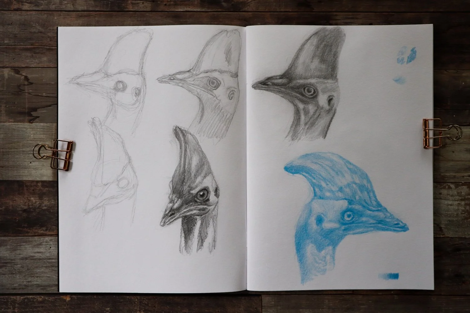Australian Artist Natalie Eslick TSIL Workshops-3248.jpg