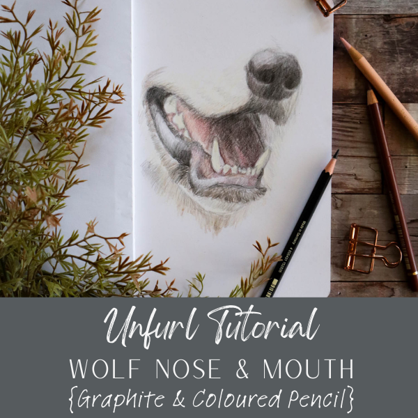 HR Wolf Nose Mouth 0824.1.png