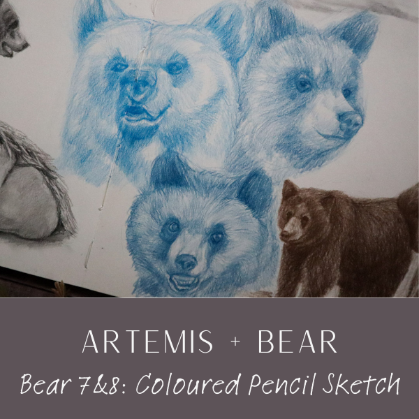 WH Artemis Bear 7&8.png