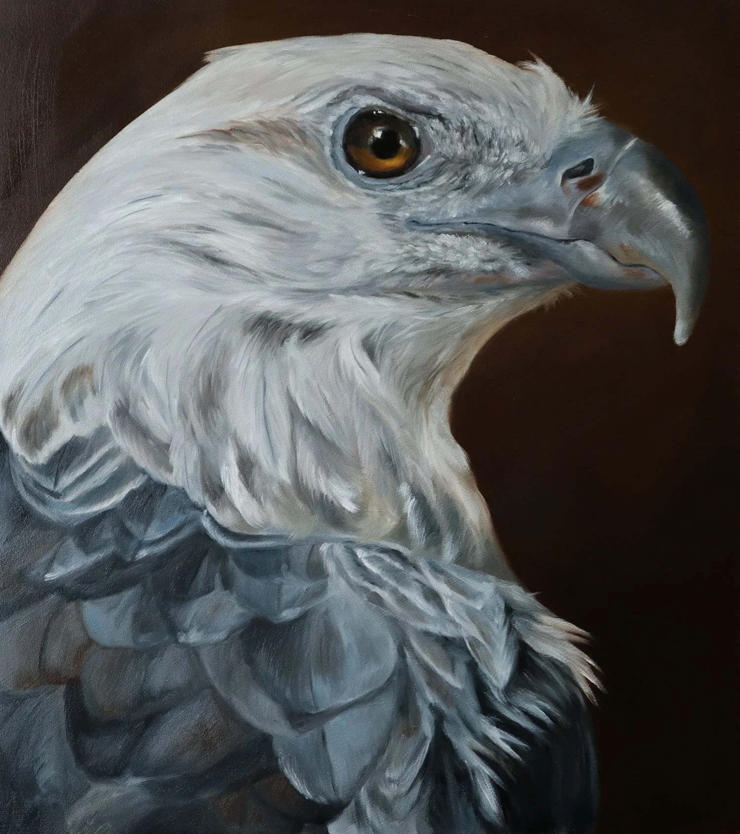 Australian Artist Natalie Eslick white bellied Sea Eagle-2921.jpg