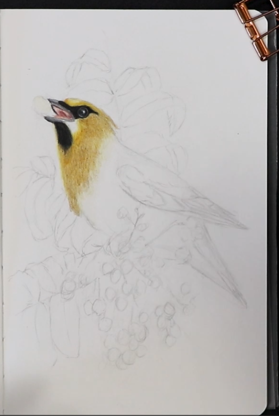 Screenshot 2026-04-01 140010.png