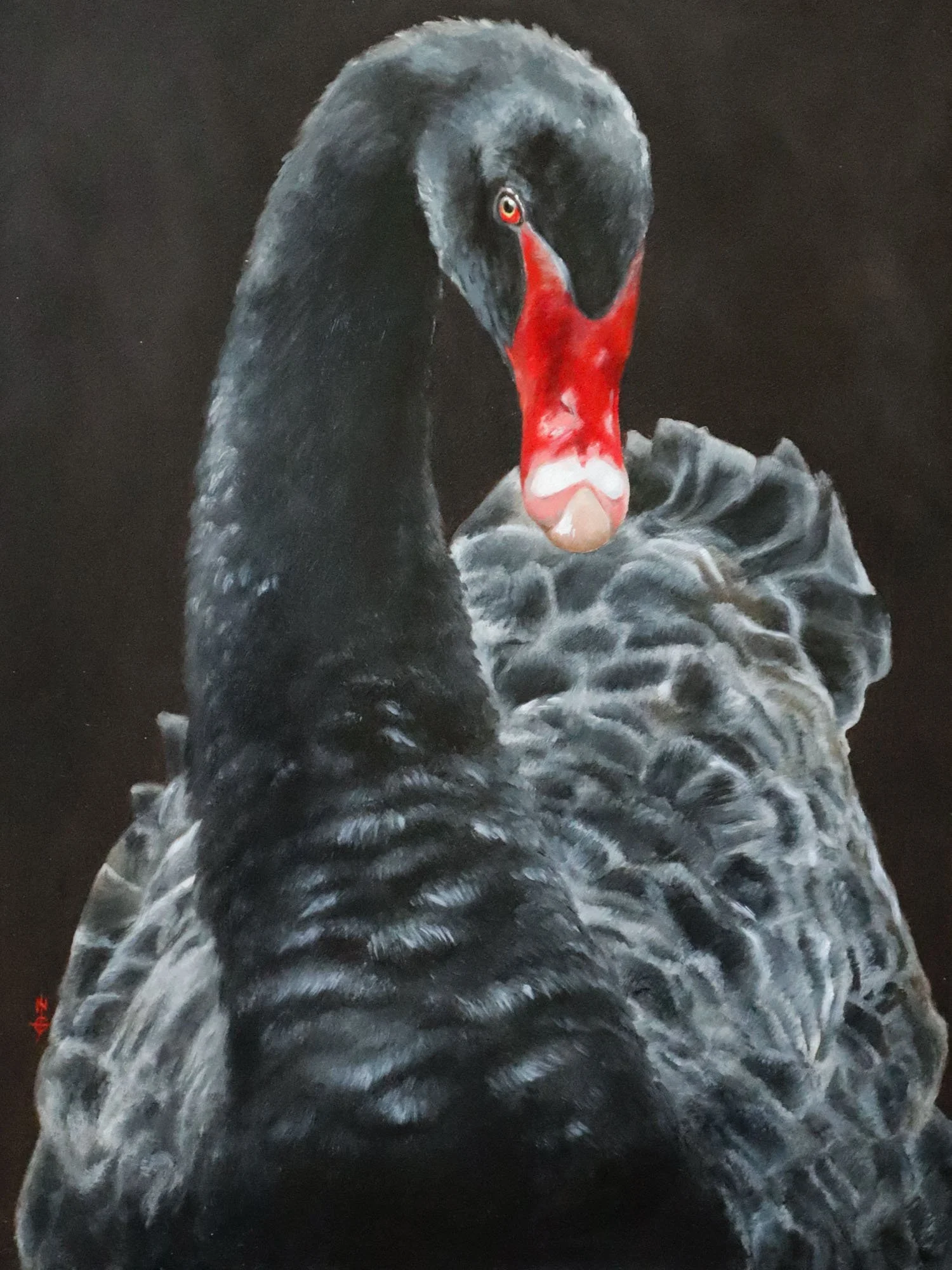 Australian Artist Natalie Eslick Black Swan-3006.jpg