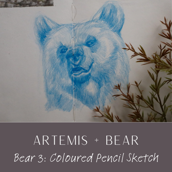 WH Artemis Bear 3.png