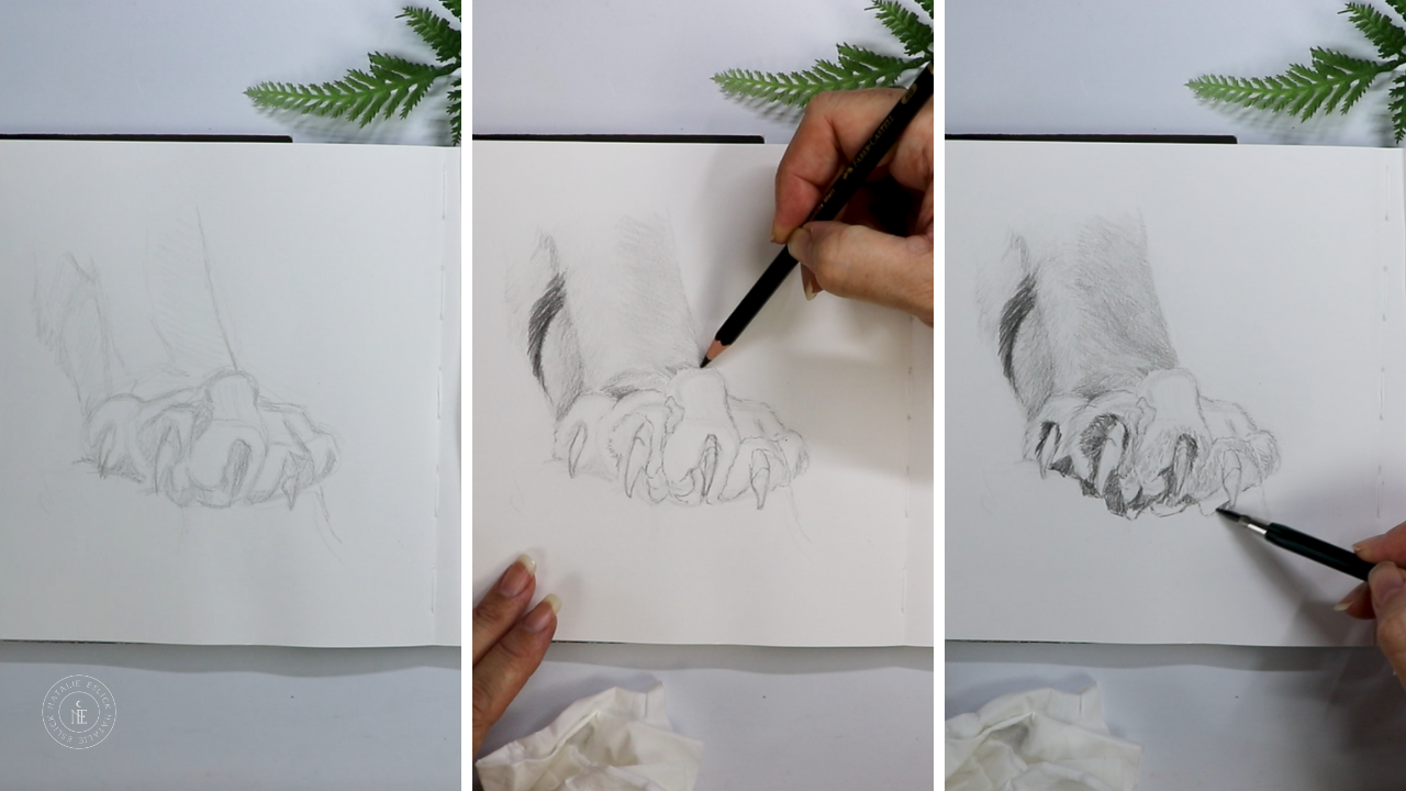 Tiger Paw Process 1.png