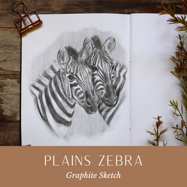 WP Plains Zebra 1.png