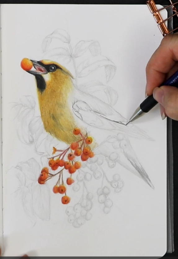 Screenshot 2026-04-01 140053.png