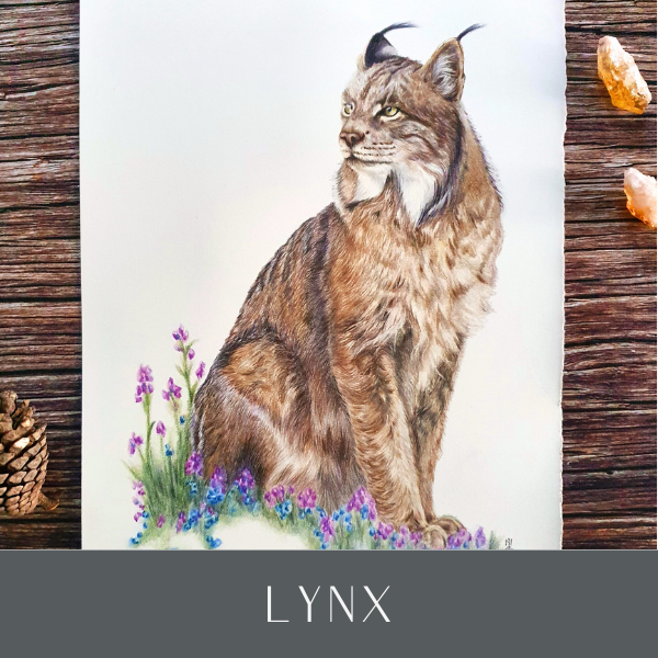 Lynx CP.png
