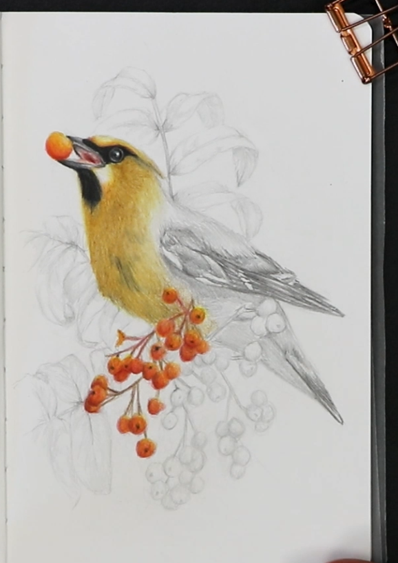 Screenshot 2026-04-01 140103.png