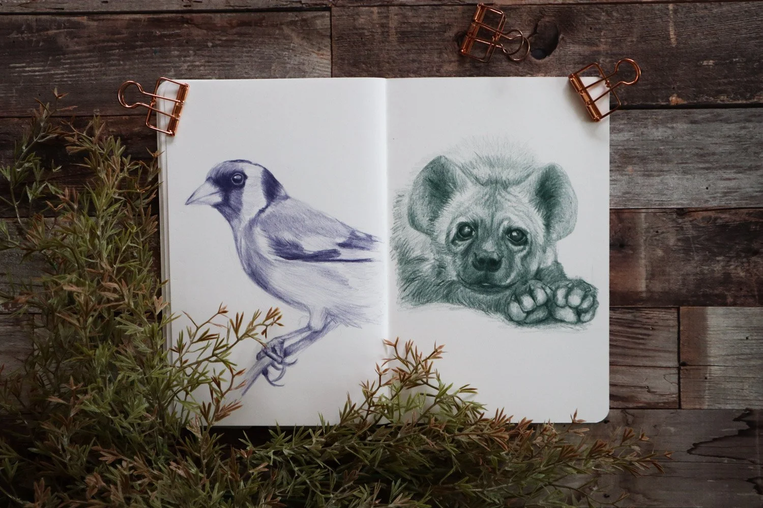 Australian Artist Natalie Eslick drawn wild wildlife sketchbook-7818.jpg