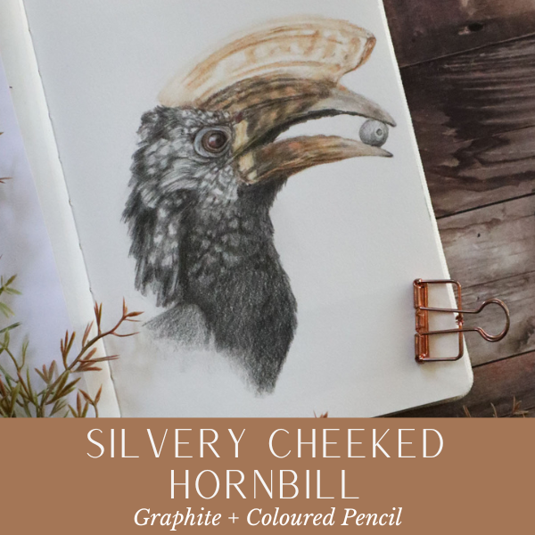 Wild Pages Jun25b.png