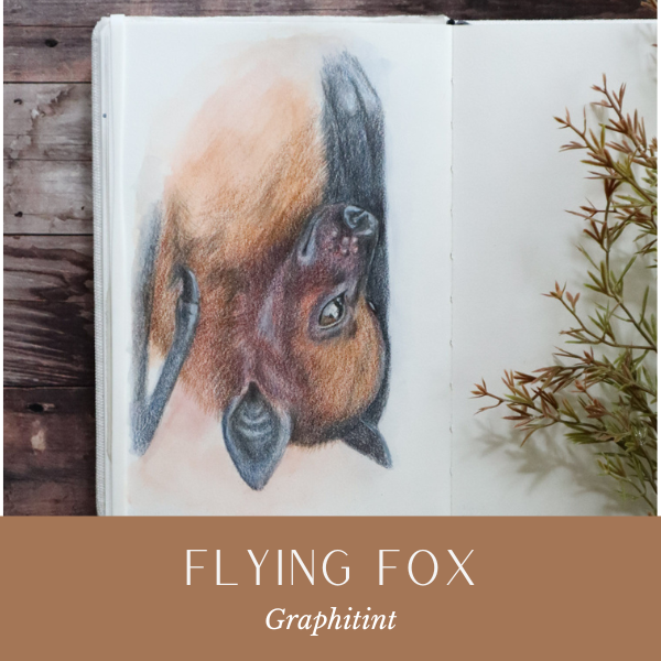 WP Flying Fox May25.png