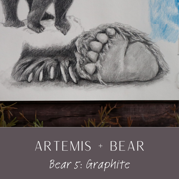 WH Artemis Bear 5.png