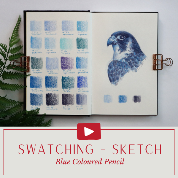 YT Swatch Sketch P1.png