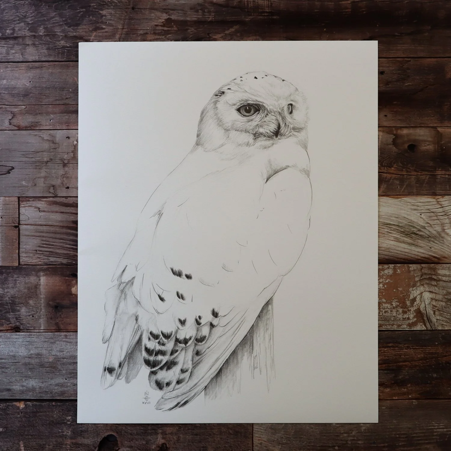 Australian Artist Natalie Eslick Snowy Owl-4460.jpg