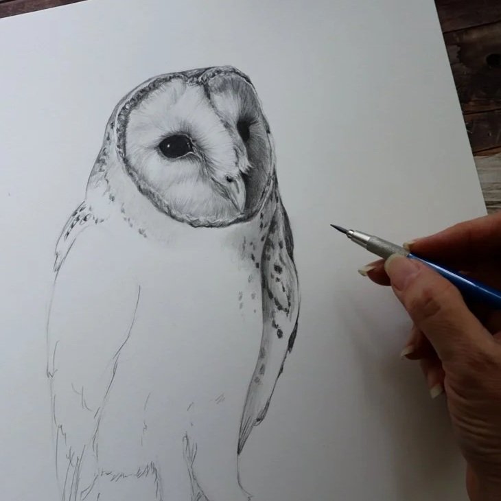 Australian+Artist+Natalie+Eslick+Eastern+Barn+Owl-4529.jpg