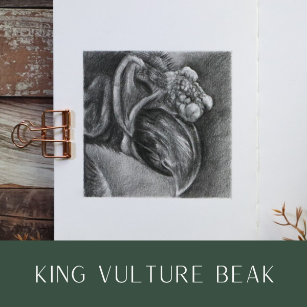 Details May25art.png