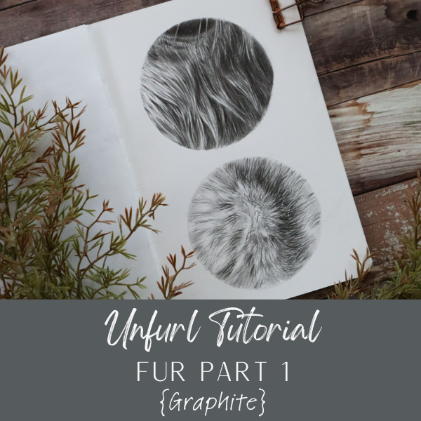 HR Fur Pt1 Nov 1124c.png