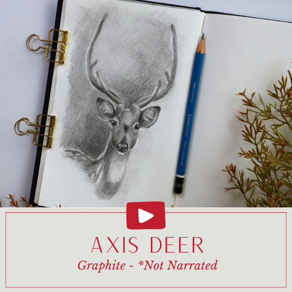 YT Sri Lankan Axis Deer.png