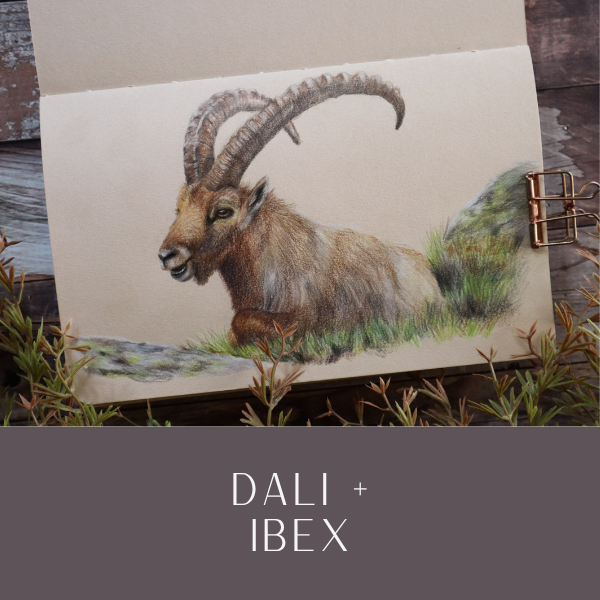 Wild+Woman Jul25v2.png