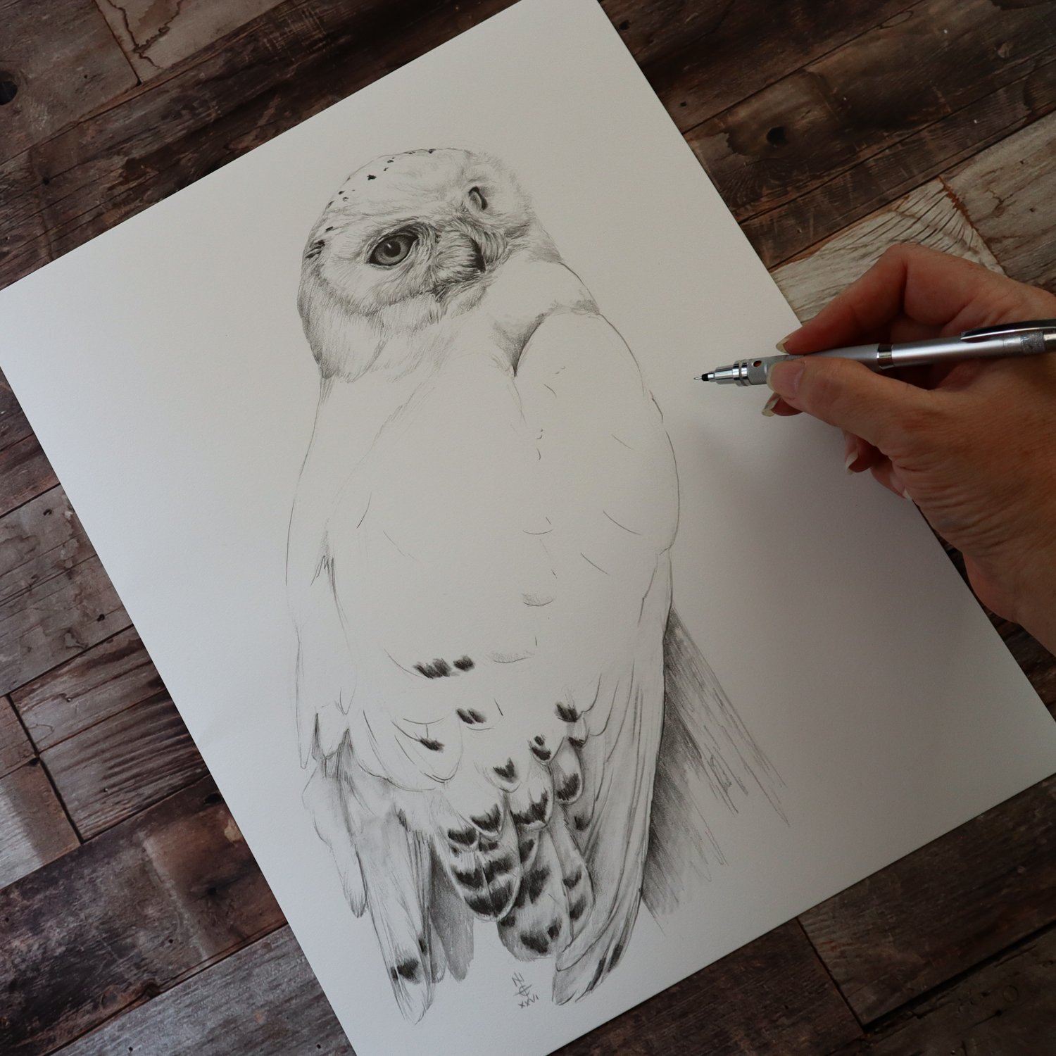 Australian Artist Natalie Eslick Snowy Owl-4470.jpg
