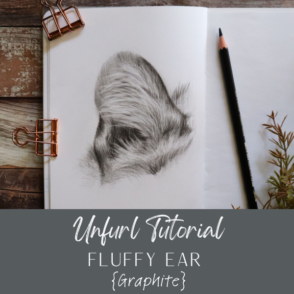 HR Fluffy Ear 0724.1.png