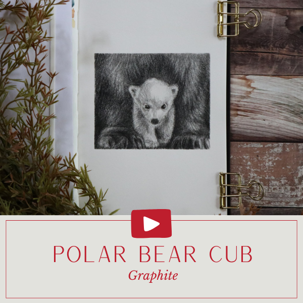 YT Polar Bear Cub.png