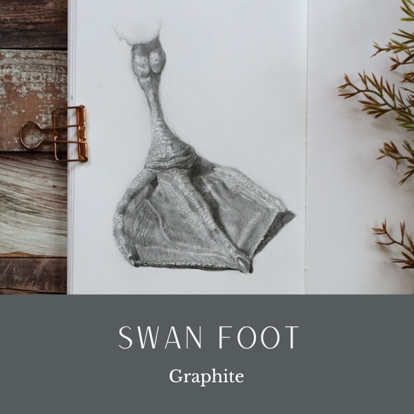 HR Tutorial Gallery Thumb Swan Foot Dec24.png