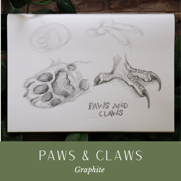 D Paws Claws.png