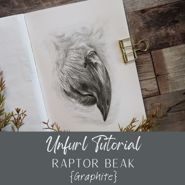 HR Owl Beak 1024.png