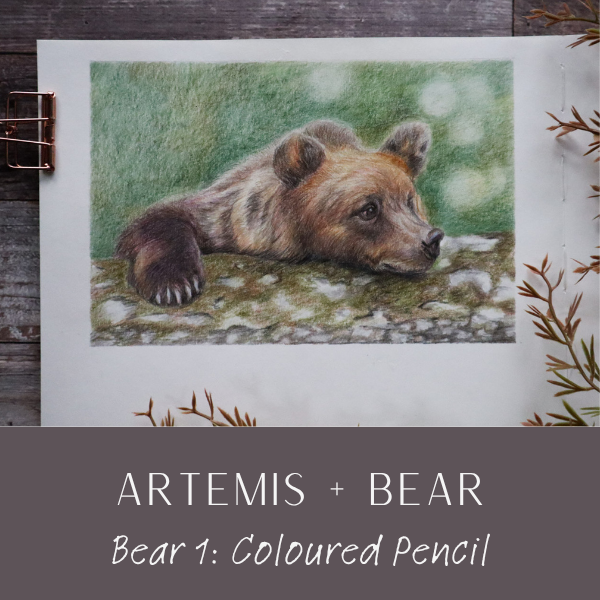 WH Artemis Bear 1.png