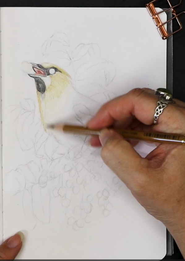 Screenshot 2026-04-01 140001.png