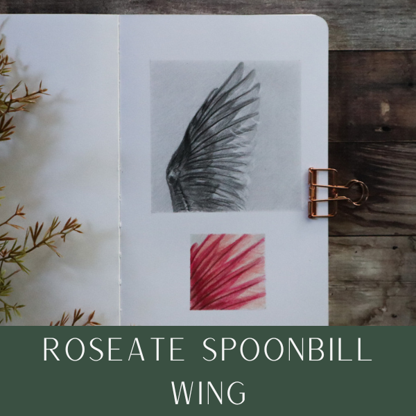 Details Apr25art.png