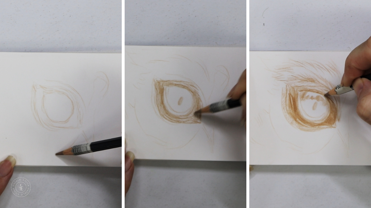 Det Panda Eye Process 1.png