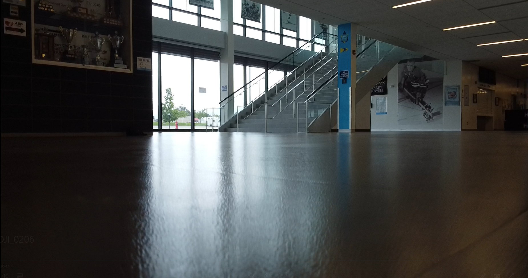 HARRY HOWELL TWIN-PAD ARENA